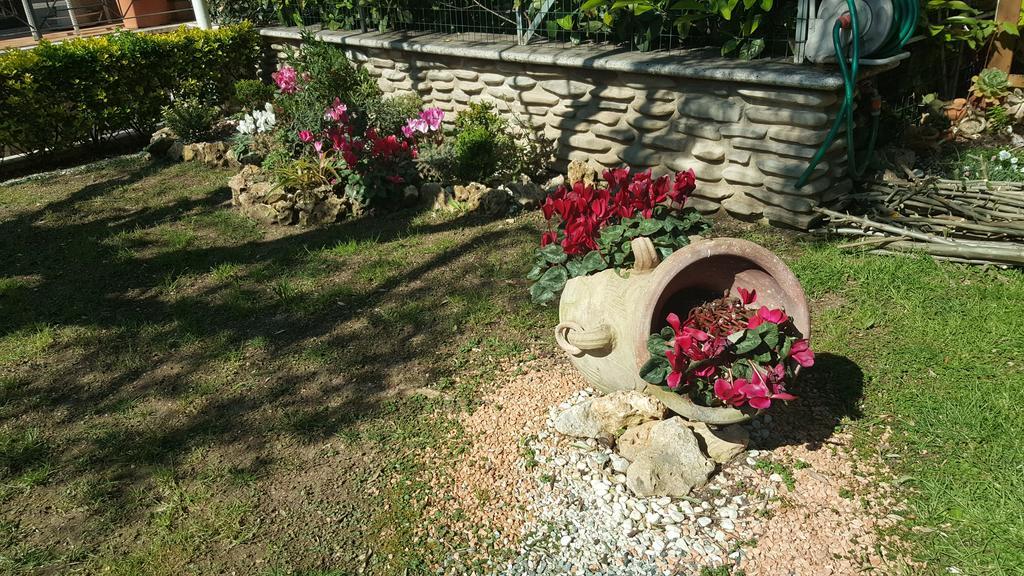 Aurelia Garden Gold B&B Roma Exterior foto